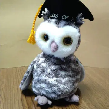 ty 봉제 인형 올빼미 비니 베이비 부엉이 올빼미 5