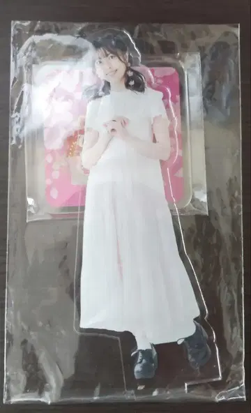 타테이시 린 아크릴 스탠드