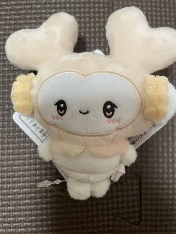 TWICE LOVELY x SANRIO 다현