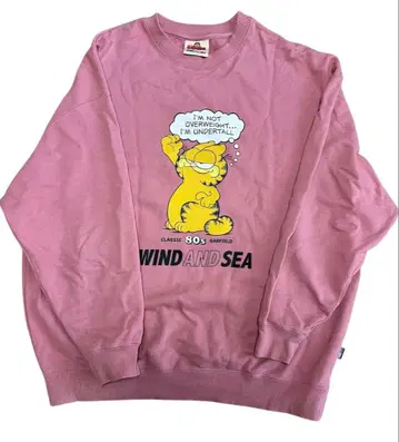 가필드 x wind and sea 크루넥