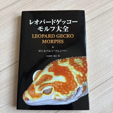 레오파드게코 모프 대전