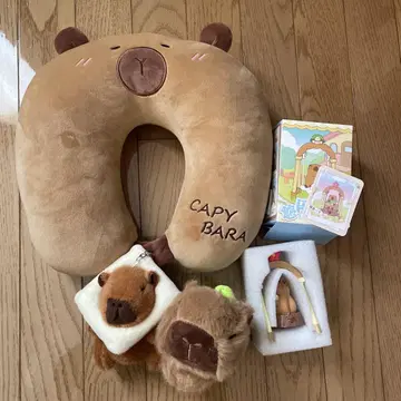카피바라 굿즈 세트