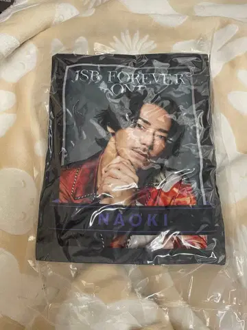 고바야시 나오키 쿠션