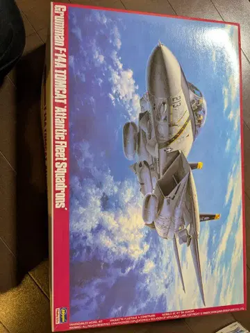 Grumman F-14A Tomcat 1/48