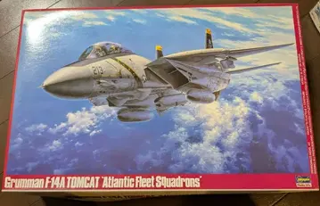 Grumman F-14A Tomcat 1/48