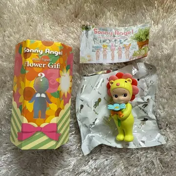 소니엔젤 플라워 기프트 라임 그린