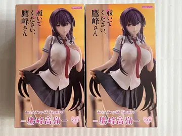 타카미네 타카네 신어주세요, 타카미네 씨 피규어 2체 세트