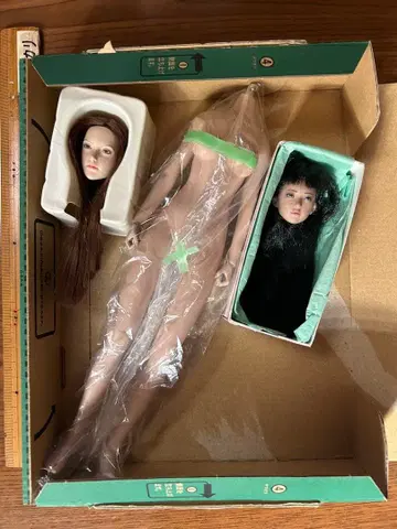 TBleague 1/6 관절 가동 데셍 연습 등 인형 ( used )