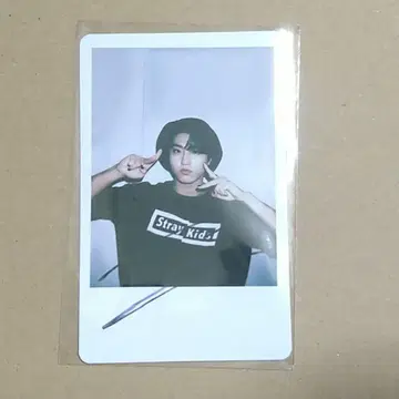 Straykids 스키즈 [ 한 ] SKZ 폴라로이드풍 사인 포토 카드