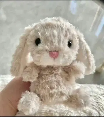 Jellycat 베이지 토끼 봉제 인형*3