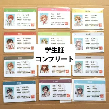 컬러풀 피치 학생증 카라피치 파라다이스 12종 루나 컴프 전원 집합