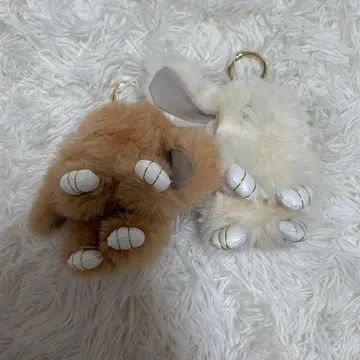 살롱 드 알파르도 토끼 참 세트