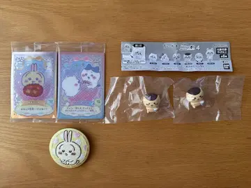 치이카와 세트