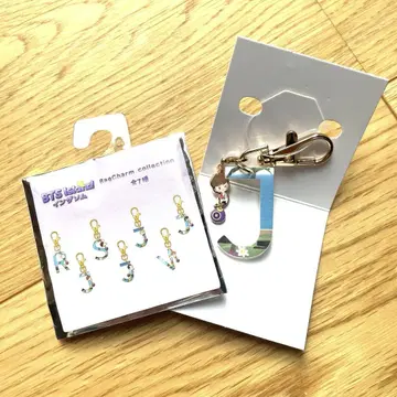 BTS 인더섬 백참 JIN