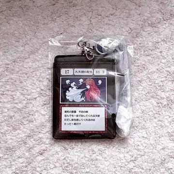 HUNTER x HUNTER 아베일 대천사의 숨결 패스케이스