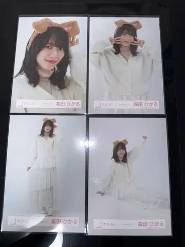 강아지 귀 코디 모리타 히카루