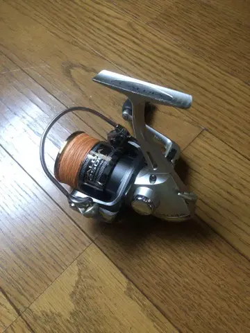 02 디어 2506