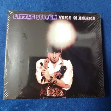 Little Steven Voice of America DVD 포함