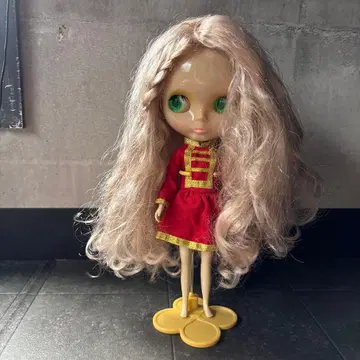커스텀 아이시 인형