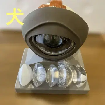 개 안구 모형 안검 렌즈 6개 포함