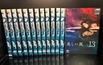 전권 아름다운 함정 전 13권 렌탈업 DVD