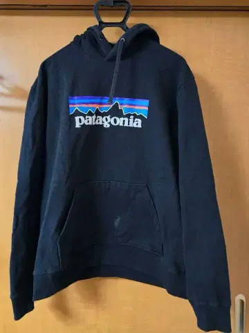 Patagonia 후드티 L 블랙