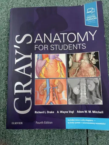 GRAY'S ANATOMY FOR STUDENTS 제4판