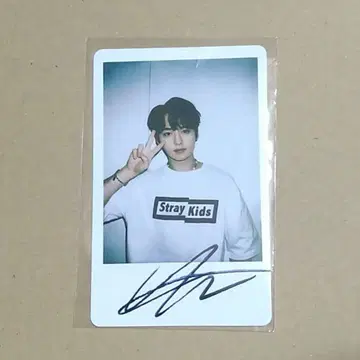 SKZ 스키즈 straykids [리노] 폴라로이드풍 사인 포토카드