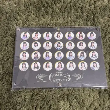 노기자카46 이쿠타 에리카 메모리얼 캔뱃지 세트 졸업 기념 굿즈