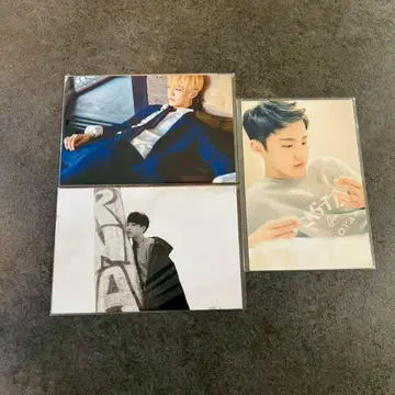 seventeen 17's cut 전시회 브로마이드 호시