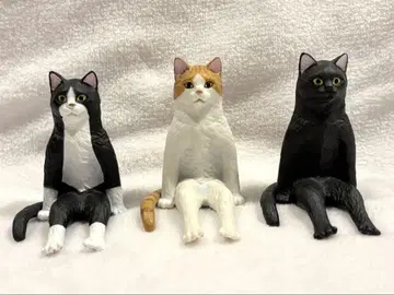 앉아있는 큰 고양이 / 키탄클럽
