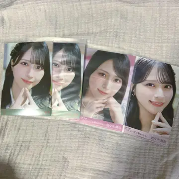 이코라부 사사키 마이카