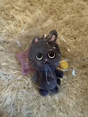 [ 공식 ] RIIZE 원빈 토냥덕 8cm 키링