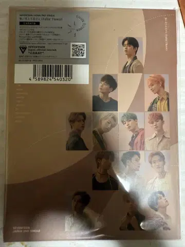 SEVENTEEN 떨어지는 꽃잎 CD BluRay 새상품 Carat반