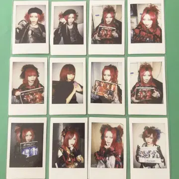 Royz 공대 씨 폴라로이드 12장