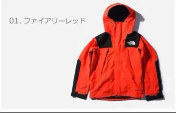 완판템 THE NORTH FACE 마운틴 후드티 NP61711 아웃도어