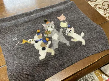 HIKOSENCARA 고양이 뜨개질 머플러 새상품급