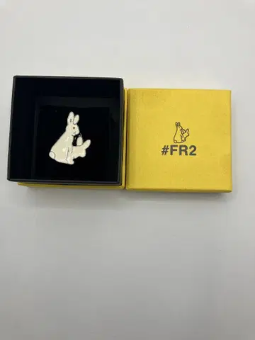 FR2 핀 배지 배지 박스 포함