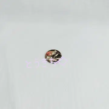 마법사의 신부 캔뱃지 애니메이트