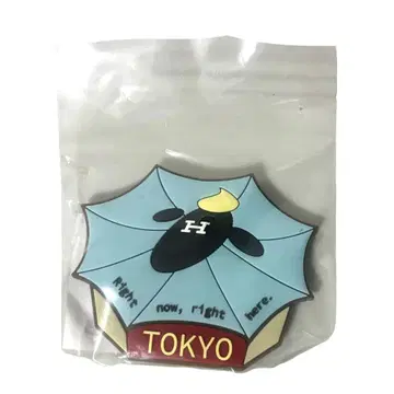 양문학 지역 한정 마그넷 도쿄 부도칸