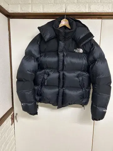 THE NORTH FACE 90s 눕시 서밋 L