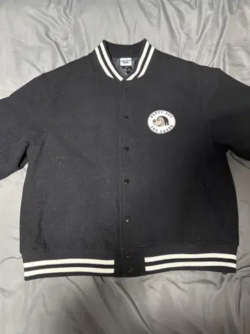 내스티독 바시티 자켓