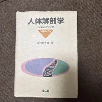 인체 해부학