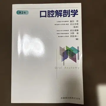 구강 해부학