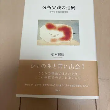 분석 실천의 진전 정신분석 임상 논고집