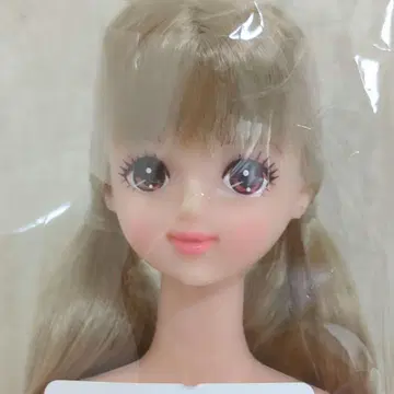 리카짱 캐슬 27BD 오타노시미 인형 미라이 제니 프렌드