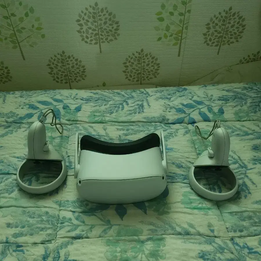 오큘러스 퀘스트2