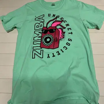 ZUMBA 정품