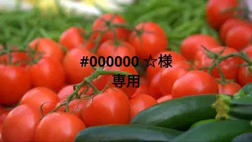 프레임