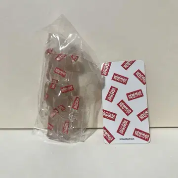BE@RBRICK 베어브릭 시리즈 39 취급 주의 피규어